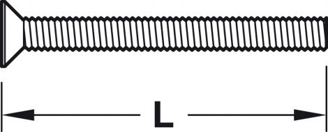 60 mm Gewindeschraube St.verz. M4x60mm